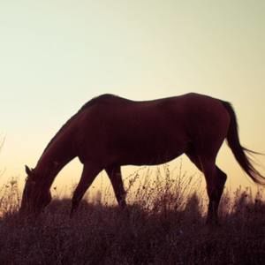 Meet your Posher, Kayleigh